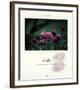 Slide-Francis Pelletier-Framed Art Print