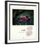 Slide-Francis Pelletier-Framed Art Print