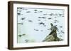 Slider (Turtle)-Gary Carter-Framed Photographic Print