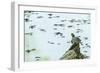 Slider (Turtle)-Gary Carter-Framed Photographic Print