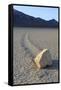 Sliding Stone or Moving Rock of Racetrack Playa, Death Valley, California, USA-Mark Taylor-Framed Stretched Canvas