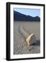 Sliding Stone or Moving Rock of Racetrack Playa, Death Valley, California, USA-Mark Taylor-Framed Photographic Print