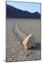 Sliding Stone or Moving Rock of Racetrack Playa, Death Valley, California, USA-Mark Taylor-Mounted Photographic Print