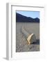 Sliding Stone or Moving Rock of Racetrack Playa, Death Valley, California, USA-Mark Taylor-Framed Photographic Print