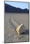 Sliding Stone or Moving Rock of Racetrack Playa, Death Valley, California, USA-Mark Taylor-Mounted Photographic Print