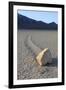 Sliding Stone or Moving Rock of Racetrack Playa, Death Valley, California, USA-Mark Taylor-Framed Photographic Print