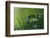 Slightly Blue-Heidi Westum-Framed Photographic Print