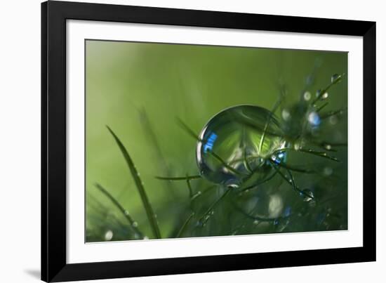 Slightly Blue-Heidi Westum-Framed Photographic Print