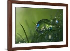 Slightly Blue-Heidi Westum-Framed Photographic Print