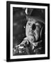 Slim Pickens-null-Framed Photo