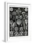 Slime Molds-Ernst Haeckel-Framed Art Print