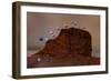 Slime mould sporangia growing along edge of decaying leaf-Andy Sands-Framed Photographic Print