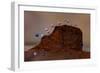 Slime mould sporangia growing along edge of decaying leaf-Andy Sands-Framed Photographic Print