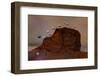 Slime mould sporangia growing along edge of decaying leaf-Andy Sands-Framed Photographic Print