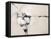 Slings and Arrows-Kari Taylor-Framed Stretched Canvas