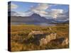 Slioch and Loch Maree, Wester Ross, North West Scotland, United Kingdom, Europe-Neale Clarke-Stretched Canvas