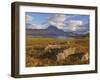 Slioch and Loch Maree, Wester Ross, North West Scotland, United Kingdom, Europe-Neale Clarke-Framed Photographic Print