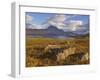 Slioch and Loch Maree, Wester Ross, North West Scotland, United Kingdom, Europe-Neale Clarke-Framed Photographic Print