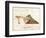 Slipon II-Fiona Stokes-Gilbert-Framed Premium Giclee Print