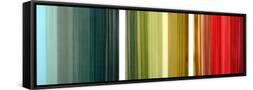 Framed Canvas
