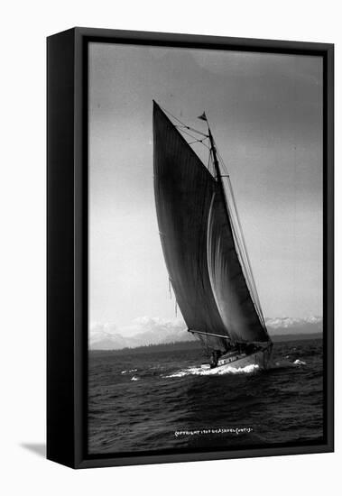 Sloop Sailboat Underway, Circa 1909-Asahel Curtis-Framed Stretched Canvas