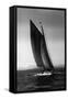 Sloop Sailboat Underway, Circa 1909-Asahel Curtis-Framed Stretched Canvas