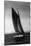 Sloop Sailboat Underway, Circa 1909-Asahel Curtis-Mounted Giclee Print