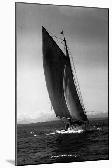 Sloop Sailboat Underway, Circa 1909-Asahel Curtis-Mounted Giclee Print