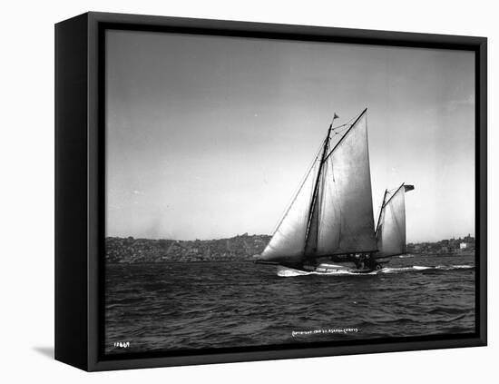 Sloop Sailboat Underway, Circa 1909-Asahel Curtis-Framed Stretched Canvas