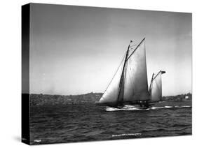 Sloop Sailboat Underway, Circa 1909-Asahel Curtis-Stretched Canvas