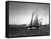 Sloop Sailboat Underway, Circa 1909-Asahel Curtis-Framed Stretched Canvas