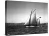 Sloop Sailboat Underway, Circa 1909-Asahel Curtis-Stretched Canvas