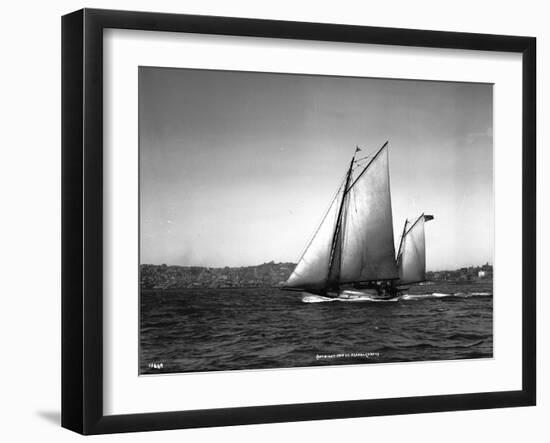 Sloop Sailboat Underway, Circa 1909-Asahel Curtis-Framed Giclee Print