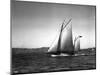 Sloop Sailboat Underway, Circa 1909-Asahel Curtis-Mounted Giclee Print