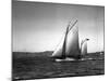 Sloop Sailboat Underway, Circa 1909-Asahel Curtis-Mounted Giclee Print