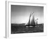 Sloop Sailboat Underway, Circa 1909-Asahel Curtis-Framed Giclee Print