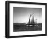 Sloop Sailboat Underway, Circa 1909-Asahel Curtis-Framed Giclee Print