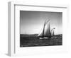 Sloop Sailboat Underway, Circa 1909-Asahel Curtis-Framed Giclee Print