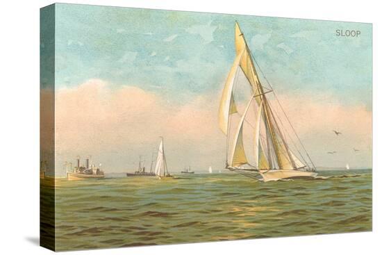 Stretched Canvas Print, , large