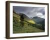 Slopes of Ben Nevis and Glen Nevis, Near Fort William, Highland Region, Scotland, United Kingdom-Patrick Dieudonne-Framed Photographic Print