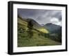 Slopes of Ben Nevis and Glen Nevis, Near Fort William, Highland Region, Scotland, United Kingdom-Patrick Dieudonne-Framed Photographic Print