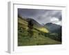 Slopes of Ben Nevis and Glen Nevis, Near Fort William, Highland Region, Scotland, United Kingdom-Patrick Dieudonne-Framed Photographic Print