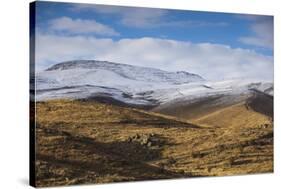 Slopes of Mount Aragats, Aragatsotn, Armenia, Central Asia, Asia-Jane Sweeney-Stretched Canvas