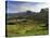 Slopes of the Quiraing, Northeast Coast of Trotternish Peninsula, Isle of Skye, Scotland-Patrick Dieudonne-Stretched Canvas