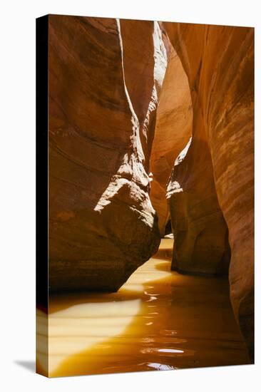 Slot Canyon at Lake Powell NRA, Utah-Zandria Muench Beraldo-Stretched Canvas