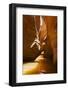 Slot Canyon at Lake Powell NRA, Utah-Zandria Muench Beraldo-Framed Photographic Print