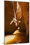 Slot Canyon at Lake Powell NRA, Utah-Zandria Muench Beraldo-Mounted Photographic Print