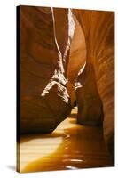 Slot Canyon at Lake Powell NRA, Utah-Zandria Muench Beraldo-Stretched Canvas