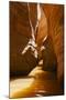 Slot Canyon at Lake Powell NRA, Utah-Zandria Muench Beraldo-Mounted Photographic Print