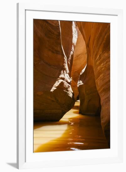 Slot Canyon at Lake Powell NRA, Utah-Zandria Muench Beraldo-Framed Premium Photographic Print